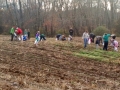 Harvest time