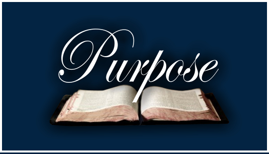 our purpose