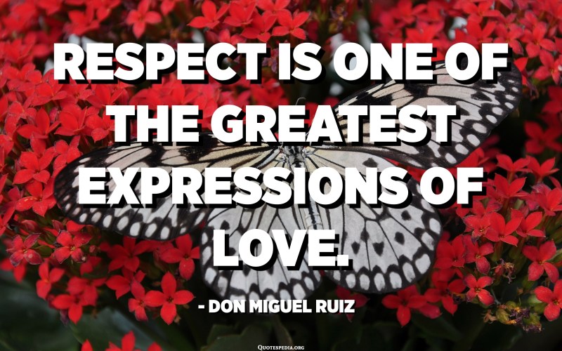 Love is respectful