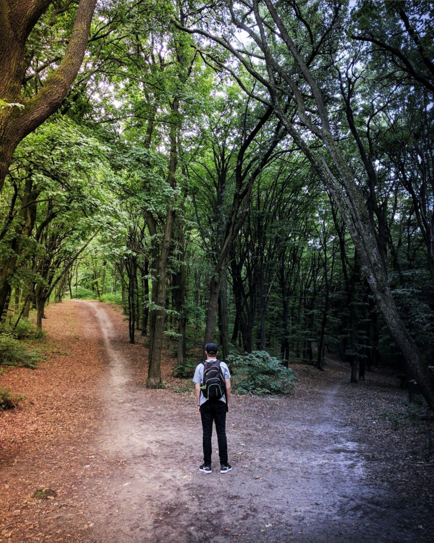 two paths diverging and traveler deciding