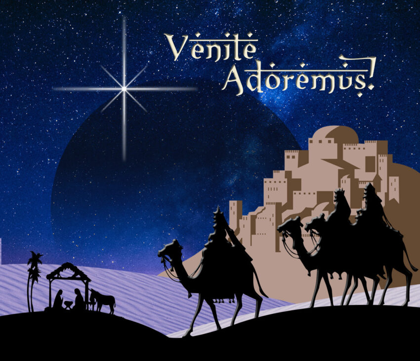 The wise men adored Him