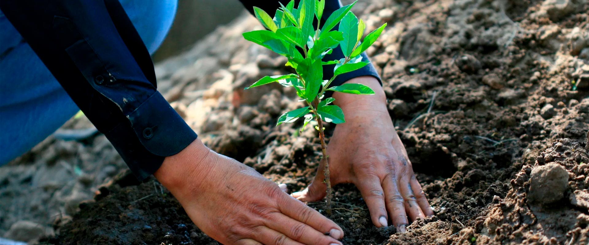 God�s Plan for Caring for the Earth Copper Hill Church