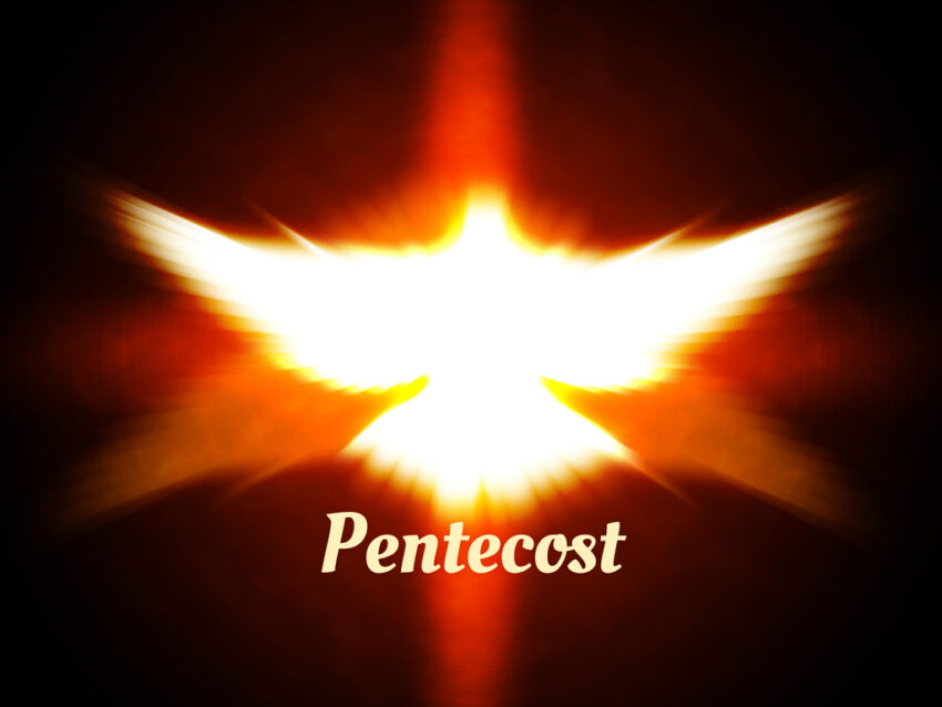 reverse silhouette of dove for Pentecost