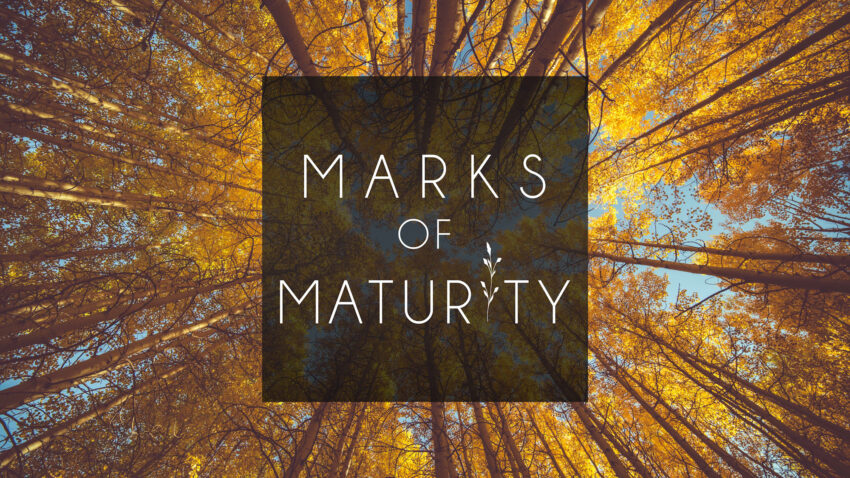 Marks of Maturity on forest background